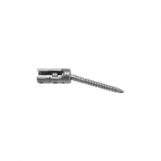Poly-Axial Reduction Screw