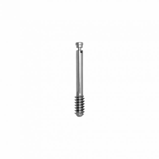 DHSDCS Screw (with Compression Screw)